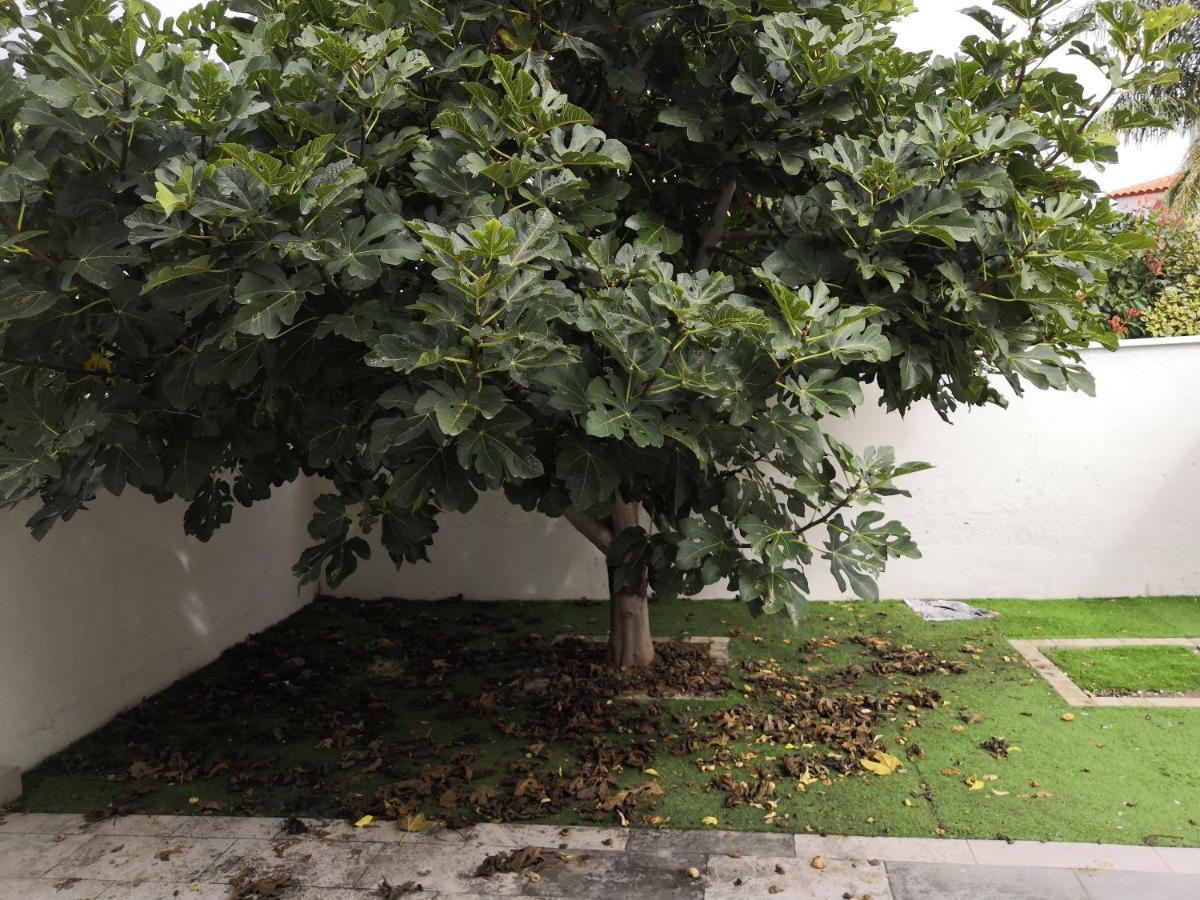 Spacieux, Top Lit, Hote Reactif, Proche Montagne Mer, Lumineux, Bien Equipe, Agreable, Chambre, Micro Maison Et Maison, Bien Regarder Perpignan Eksteriør bilde